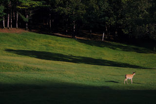 哈尔滨|伊春|五大连池：黑龙江绿野仙踪秘境清凉之旅