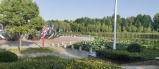 驸马沟生态公园-项城-M56****256