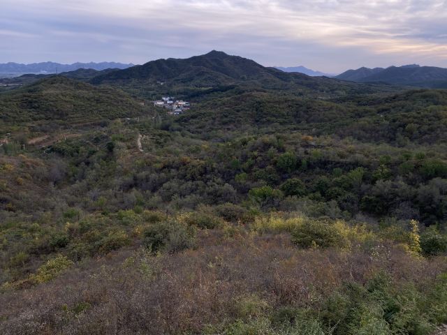大石山森林公园旅行图片 3