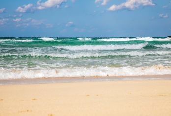 小羊肖恩+挟才浴场+ARTE全沉浸式美术馆一日游【中文司机】【当地中文司机，感受当地人的模式 美食攻略，旅途聚会，吃吃喝喝畅游当地】