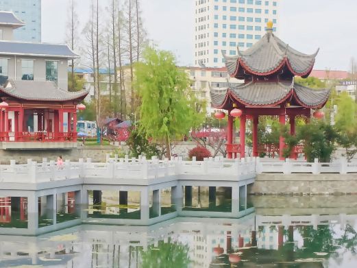 莲花池公园