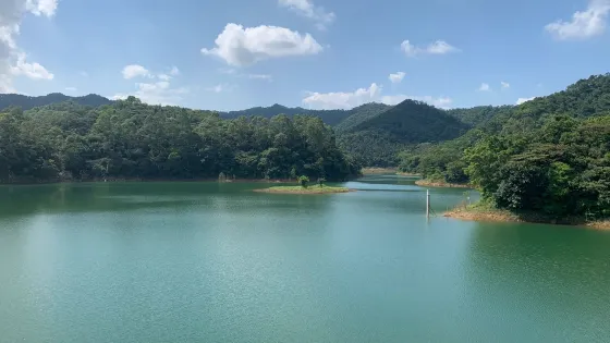 三水區大南山森林公園