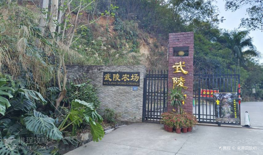 武陵農場