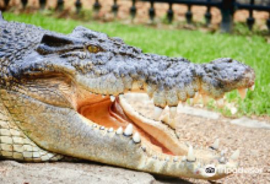 死水潭考拉和野生动物公园景点图片