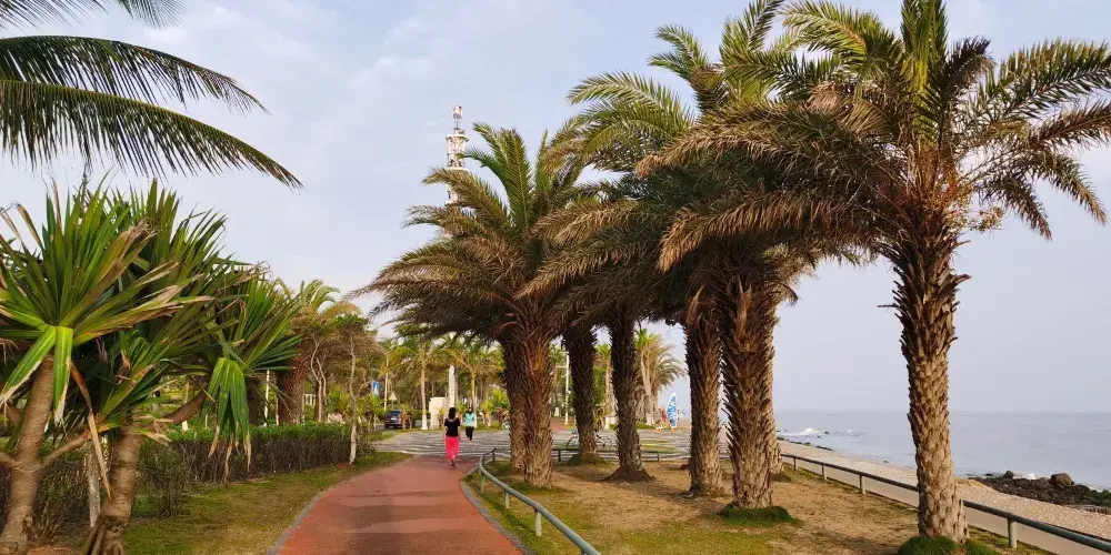 永安旅遊