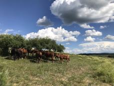 乌兰布统草原-克什克腾旗-水中弯月