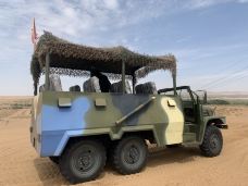 腾格里沙漠-阿拉善左旗-椒盐小丸子