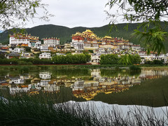 昆明游记图片] 走过高山，走进雨林--峨眉山、香格里拉、西双版纳、昆明十七日游