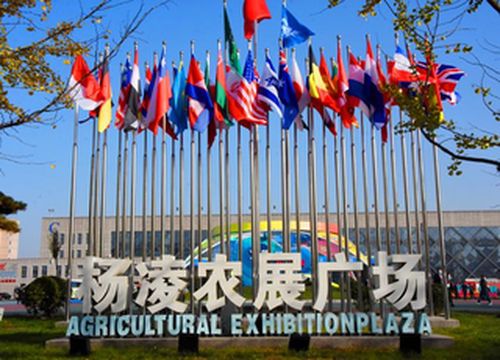 陕西旅游：感受杨凌农耕始祖文化的魅力（图）