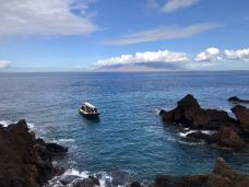 Maui Dragon Fruit Farm-茂宜县-东张西望望东西