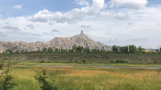 金沙灣生態旅遊區