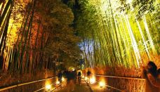 岚山-京都-乐吃购