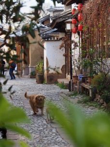 沙溪古镇-剑川-曹 操