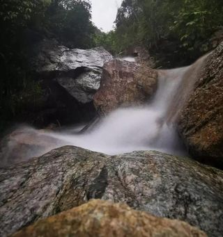 政和黄垱采蒲记