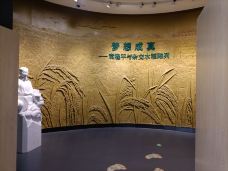 隆平水稻博物馆-长沙-摩羯看彗星