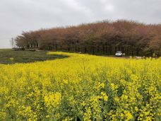 贵安樱花园-安顺-**FF**