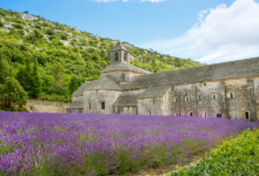 塞南克修道院景点图片