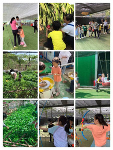 坂田游记图文-深圳适合一日游的农家乐九龙生态园