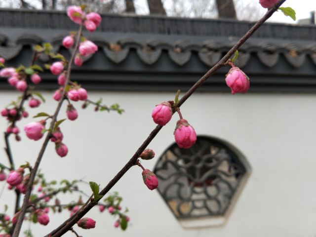 宣化人民公园旅行图片 1