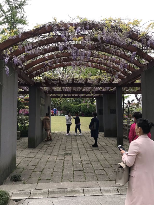 古藤园旅行图片 7