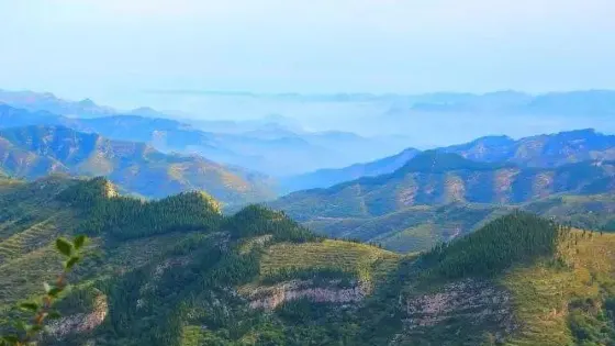 岳陽山