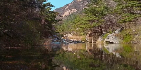 牙山國家森林公園