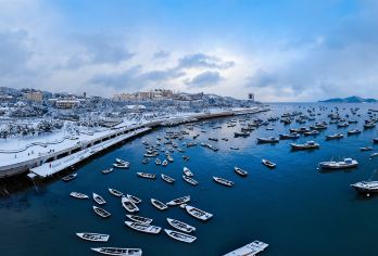 威海火炬八街+猫头山+威海公园一日游【上门接送丨专车服务】【[行程专享]不拼车无拘束，随停随玩更自由】