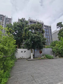 市区/峨眉站游记图片] 峨眉山念庐酒店——⁬一个充满巧妙设计的酒店