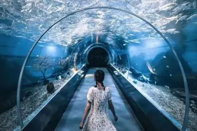 海底二万里