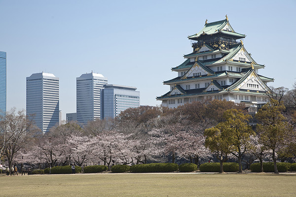 2022years OSAKA樱花物语 这个春天,大阪的樱花们也璀璨绽放!