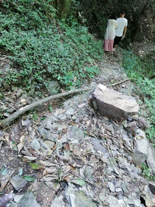 屏山悬索玻璃桥旅行图片 2