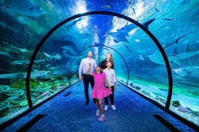 阿布扎比国家水族馆