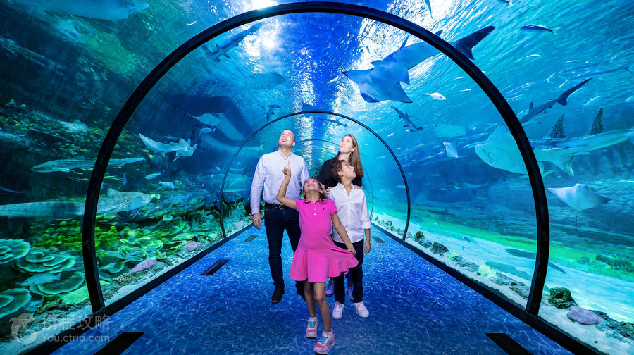 The National Aquarium Abu Dhabi