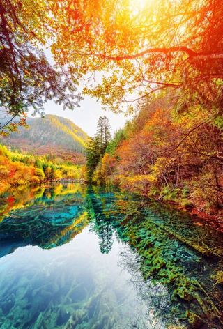 争创国家全域旅游示范区 | 你中彩了！来自阿坝州的隔空投送！