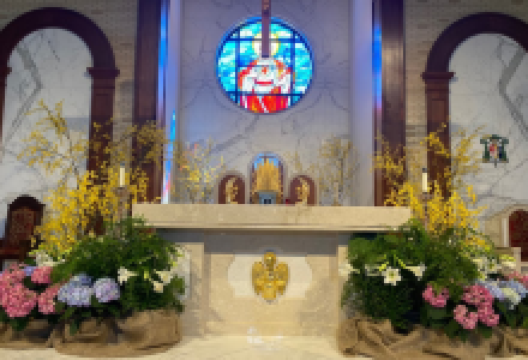 Sacred Heart Cathedral景点图片