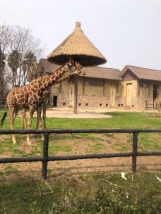 南昌动物园-南昌