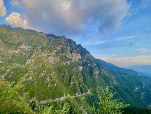 东川森林公园