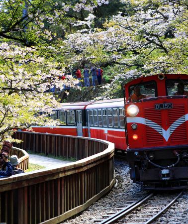 5天4晚 • 高雄＋阿里山「祝山觀日小火車觀日出雲海」＋國立故宮博物院南部院區＋台北
