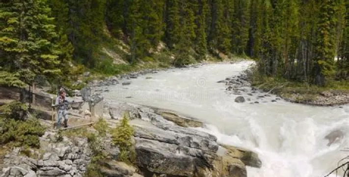 Sunwapta Falls and Canyon