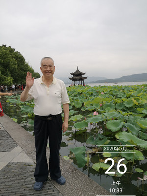 观荷集贤亭：遐思飞扬