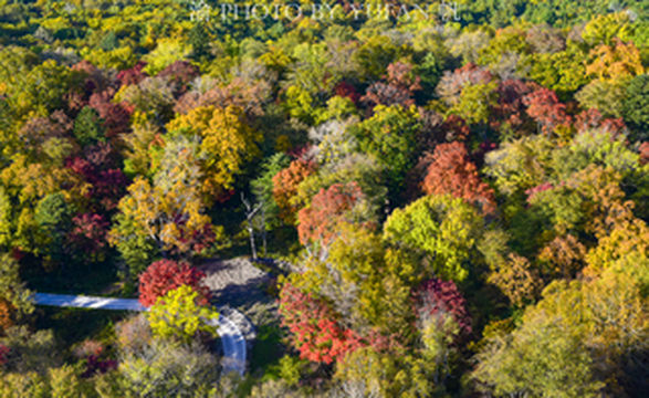 中朝边境群山之间隐藏着一片网红小木屋,四周果香扑鼻,美景如画