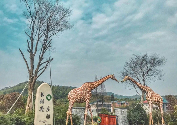 长颈鹿庄园