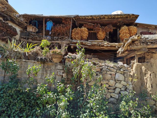 泸西城子古村旅行图片 4