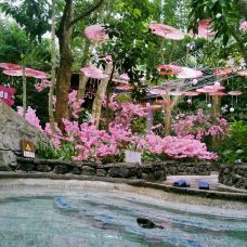 海口-YoYo_7C6R2U0M