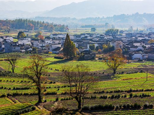卢村观景平台