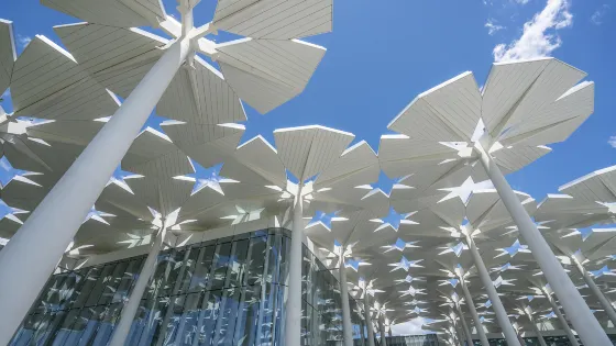 北京世園會國際館