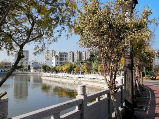 凤岗妈湿地公园
