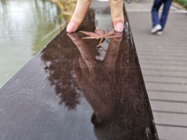 金桥公园旅行图片 1