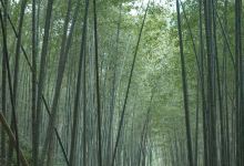 西山公园景点图片