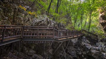 Tianzi Mountain